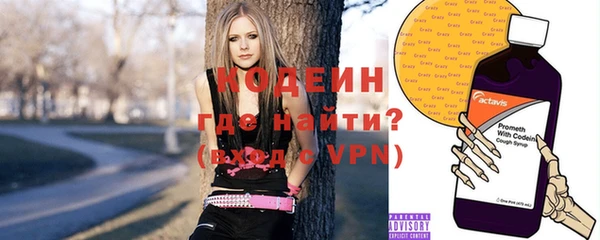 гашик Няндома