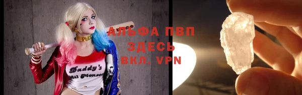 гашик Няндома