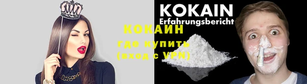 PSILOCYBIN Остров