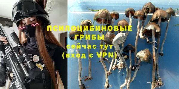 PSILOCYBIN Остров