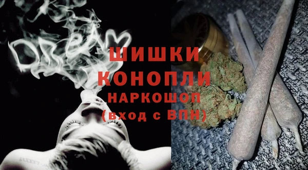 ПСИЛОЦИБИНОВЫЕ ГРИБЫ Беслан