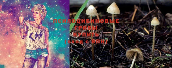 MDMA Бикин