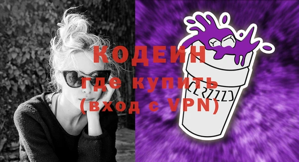 гашик Няндома