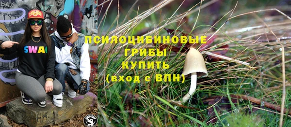 гашик Няндома