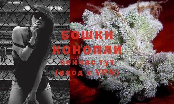 гашик Няндома