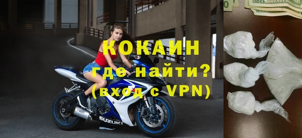 гашик Няндома